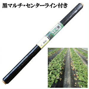 0m 黒マルチの通販 価格比較 価格 Com