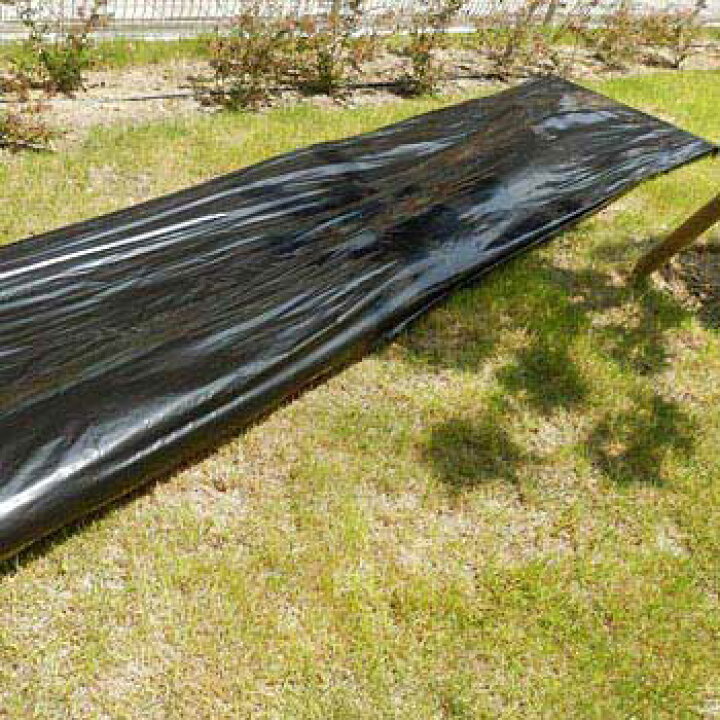 楽天市場】愛農 黒マルチ 135cm×50m 厚0.02mm センターライン入 黒 