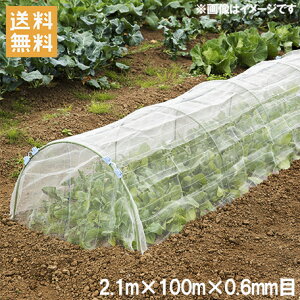 y@llzhlbg 0.6mm 2.1×100m 悯lbg lbg h lbg |lbg lbg _Ǝ |pi gl K[fjO