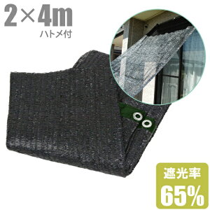 Ռlbg ngt x_ 悯 2m×4m Ռ65%   XN[ ډB V[g tB  VF[h