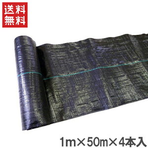 hV[g 1m×50m×4{ 悯V[g 200m V[g Gh~V[g G}V[g G΍ G} _Ɨp _Ɨpi R