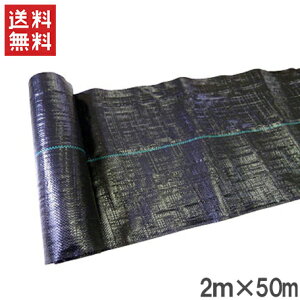 y@llzhV[g 2m×50m 悯V[g V[g Gh~V[g G}V[g G΍ G} _Ɨp _Ɨpi R