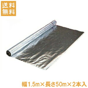 y@llz_Ɨp ˃V[g 1.5m 50m 2{Zbg[˃NX nEX͔| ʎ | pi ]