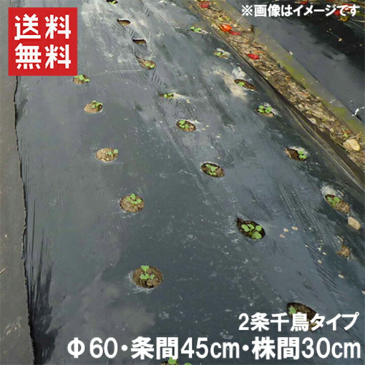 楽天市場】穴あきマルチ 黒マルチ 有孔マルチ 幅95cm 長さ50m 株間 