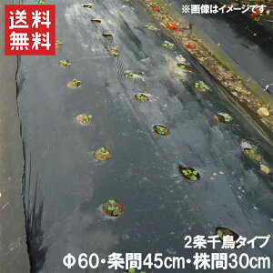 家庭菜園 マルチ シートの人気商品 通販 価格比較 価格 Com