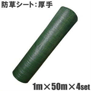  hV[g 1m×50m 4Zbg ϔN4`6N 200m 悯V[g V[g Gh~V[g G}V[g G΍ _Ǝ R hJr 