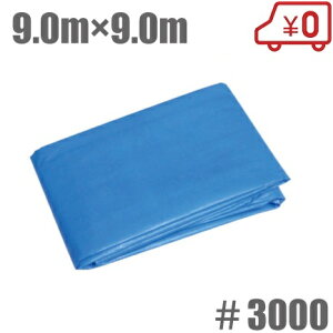 u[V[g 9m×9m  #3000 hV[g W[V[g rj[V[g 傫TCY ^ V[g J