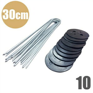 V[g ەtUsY 30cm 10{ _Ǝ hV[g sDz }`