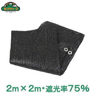 ZteB3 Ռlbg 2×2m 75  ngt 悯  x_ oRj[ | VF[h