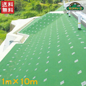 ZteB3 ό hV[g  1m×10m ϋv15N Gh~V[g h}bg GV[g ΍ G΍ _Ǝ