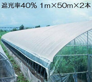 Ռlbg  1m×50m×2{Zbg Ռ40% 100m 悯lbg lbg _Ɨplbg _ƗpՌV[g 悯  _Ɨplbg _Ɨpi |pi _Ɨp |p A Ռ V[g
