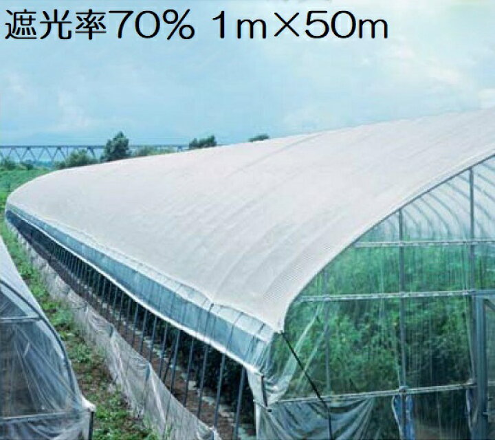 楽天市場】遮光ネット 白 1m×50m 遮光率70% 日よけネット 日除けネット 