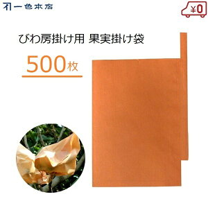 F{X т| 500 [| | тp ʎ [ Ζ ΍ Q΍ 悯 f ʎ| #7 K-1