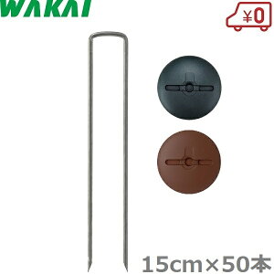 Y hV[g  s R̎s 15cm×50{ bV[t s Œs V[gY Y UsY Uo[ vebNX   O[ uE