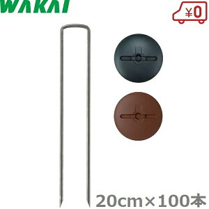 Y hV[g  s R̎s 20cm×100{ bV[t V[gs Œs V[gY Y UsY Uo[ vebNX   O[ uE