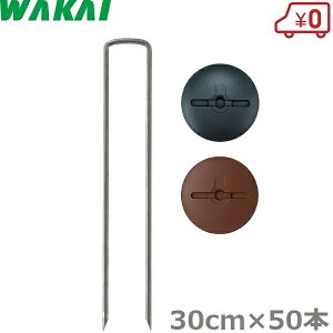 Y hV[g  s R̎s 30cm×50{ bV[t s Œs V[gY Y UsY Uo[ vebNX   O[ uE