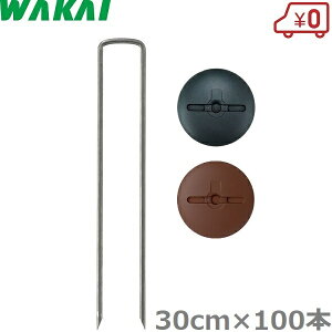 Y hV[g  s R̎s 30cm×100{ bV[t s Œs V[gY Y UsY Uo[ vebNX   O[ uE