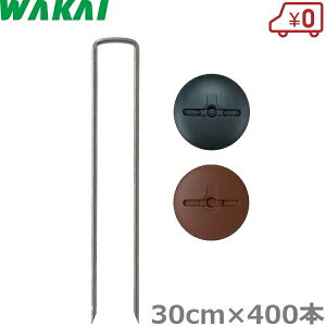 Y hV[g s R̎s 30cm×400{ bV[t s Œs V[gY Y UsY Uo[ vebNX   O[ uE