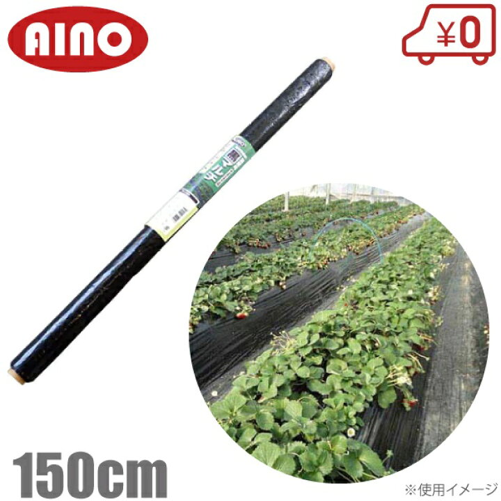 楽天市場】愛農 黒マルチ 150cm×50m 厚0.02mm センターライン入 黒 