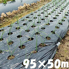 楽天市場 農業用 マルチシートの通販