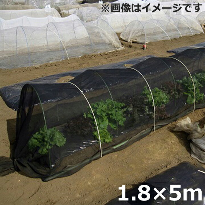 楽天市場 寒冷紗 黒 1 8 5m 遮光ネット 遮光率50 防霜 霜害対策 霜よけ 家庭菜園 トンネル支柱 ｓ ｓ ｎ