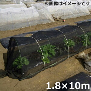   1.8×10m Ռlbg Ռ50 h Q΍ 悯 | gl͔|