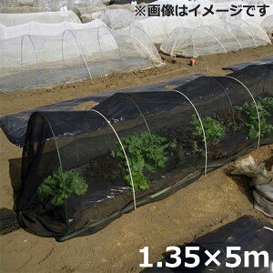 寒冷紗 夏の人気商品 通販 価格比較 価格 Com