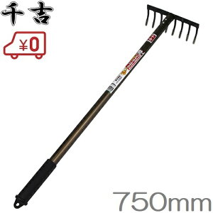 g ݌L F [L 菜 750mm ܂ N  y yN