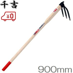 g L 900mm L N  y yN