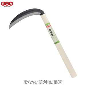 Ԃ̗F 蓹 S| #933 L |  J} K[fjO |pi