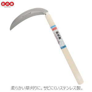 Ԃ̗F 蓹 XeX #938 L |  J} K[fjO |pi