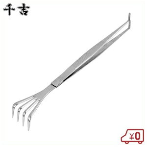 g N}ft sZbg ϗtA  ~͗pi |pi eiX