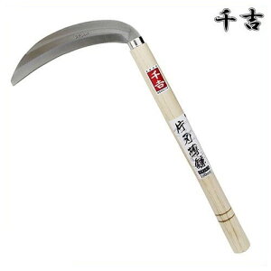 g XeXАn 180mm 38cm АnJ} 芙  pi | 