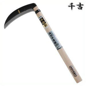 g  B^ 195mm 44cm n |t J} 芙  pi |  