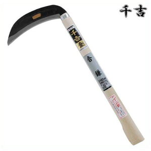 g   165mm 38.5cm n |t J} 芙  pi |  