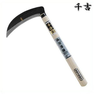 g  ^ 210mm 38.5cm Аn |t J} 芙  pi |  