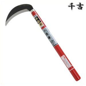 g  񓿊 170mm 43.5cm n S| J} 芙  pi |  
