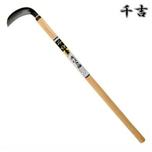 g  ͂ 85cm ͂ ؊ |t J} 芙    