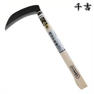g  n 165mm 38.5cm n |t J} 芙  pi |  
