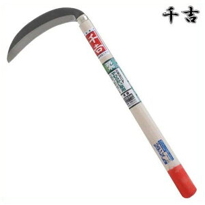 g |tXe Аn pxt 180mm 41.5cm Аn |t J} 芙  pi |  