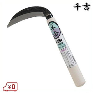 g n ق񑐗p 24cm 芙 J}  앨n |  ؎n ؊