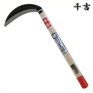 g Аn 180mm 42cm Аn |t J} 芙  pi |  