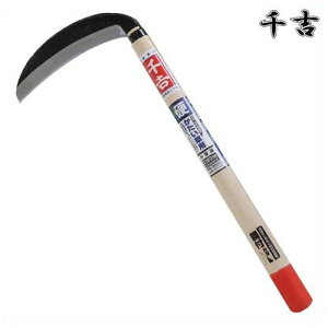 g Аn pxt 180mm 42cm Аn |t J} 芙  pi |  