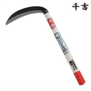 g Аn 180mm 38cm Аn S| J} 芙  pi |  