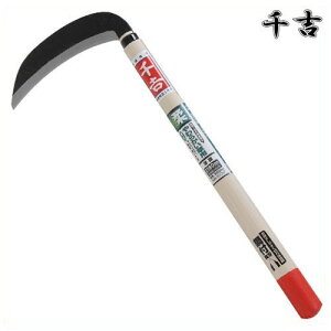 g n 180mm 42cm n |t J} 芙  pi |  