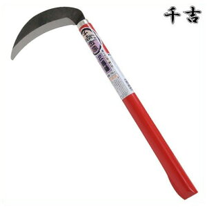 g O 44cm n S| J} 芙  pi |  