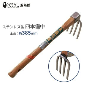 N L  4{ XeX #304 l{ 385mm ^ y yȂ炵 yN y@ |pi _  _ _ ؉ OWL