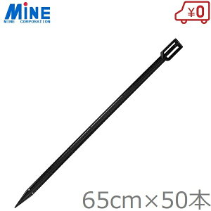 ~l A[Y 65cm 50{  ȔY A[g K[h  yߔ _Ǝ c c