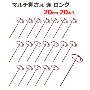  }` ԃO 20cm 20{ V[g Œ s Y }` sDz ˃V[g _Ɨp _Ǝ