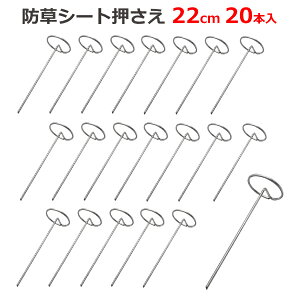  hV[g 22cm 20{ 4mma }` Œ s Y }` sDz ˃V[g _Ɨp _Ǝ